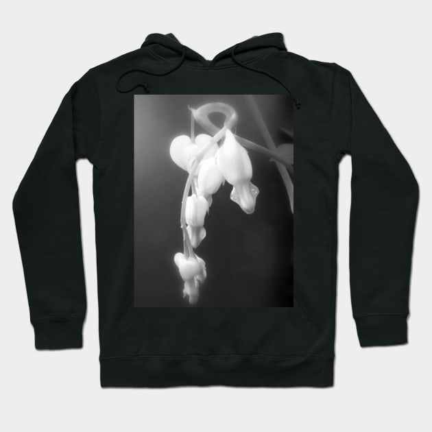 white bleeding hearts, black and white #2 Hoodie by DlmtleArt